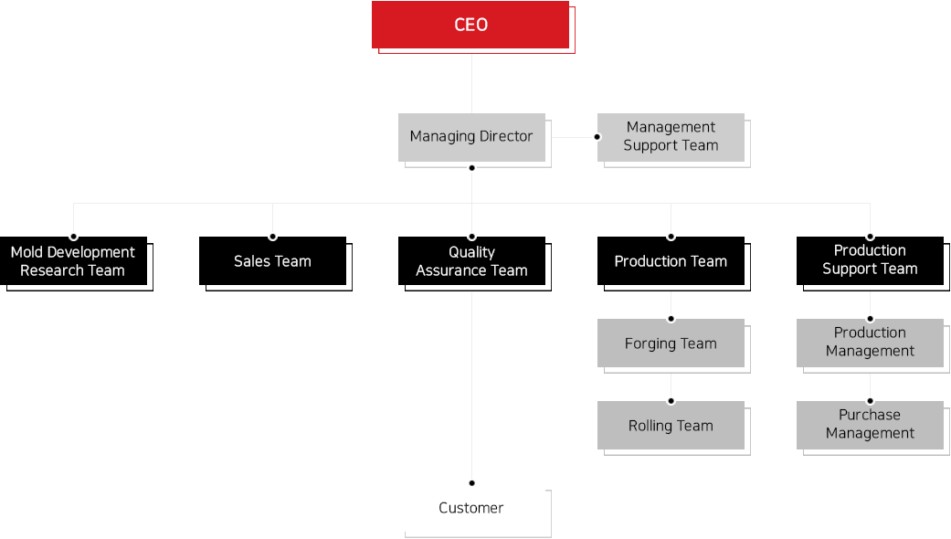 CEO, Management Support Team, Mold Development Research Team, Sales team, Quality Assurance Team, Production team, Production Support Team, Customer